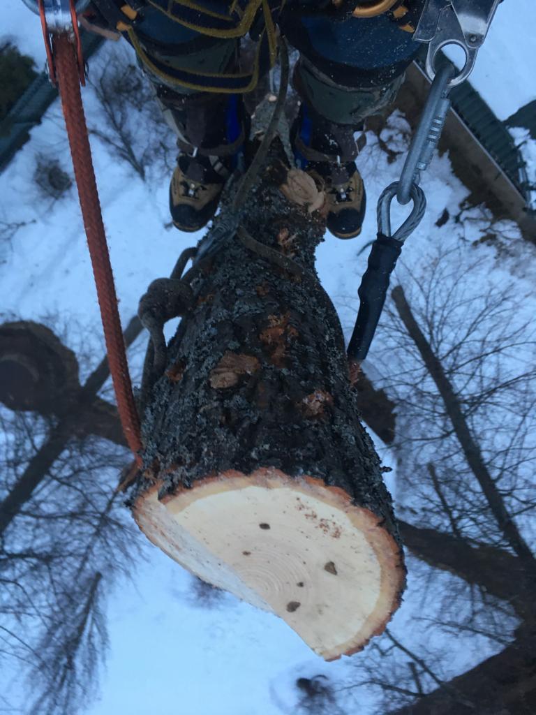 PHOTO 2018 11 27 00 18 09