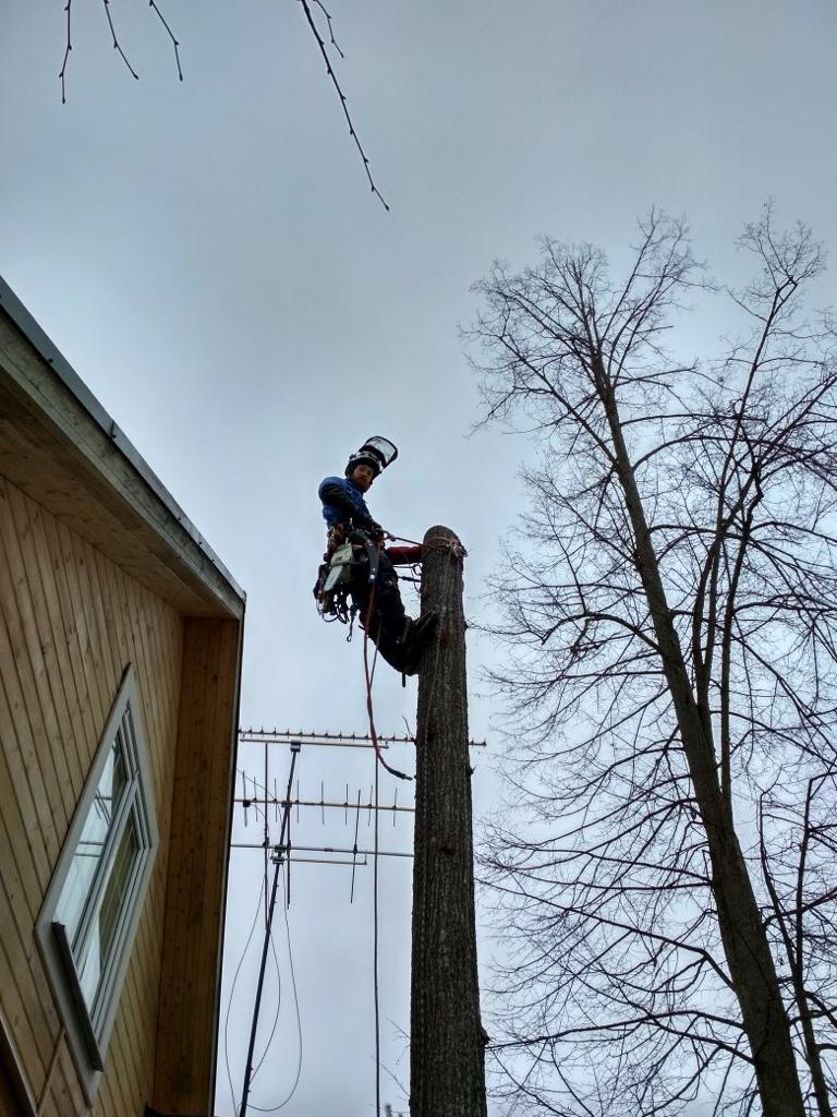 PHOTO 2018 11 27 00 25 22
