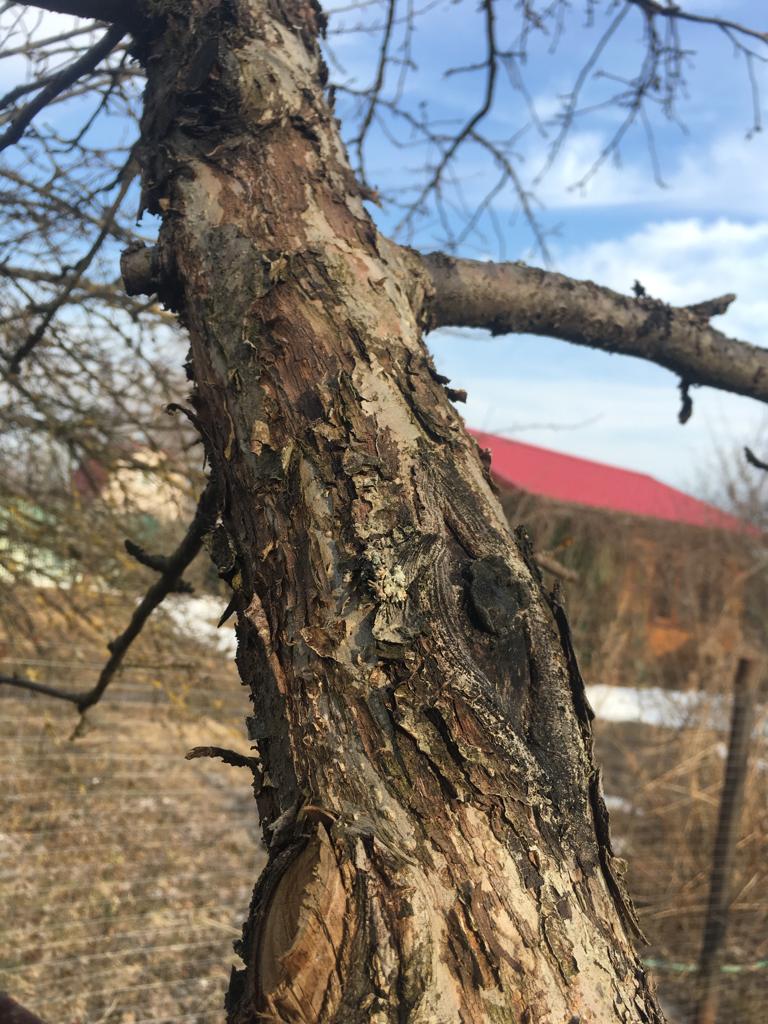 PHOTO 2018 11 27 00 27 35