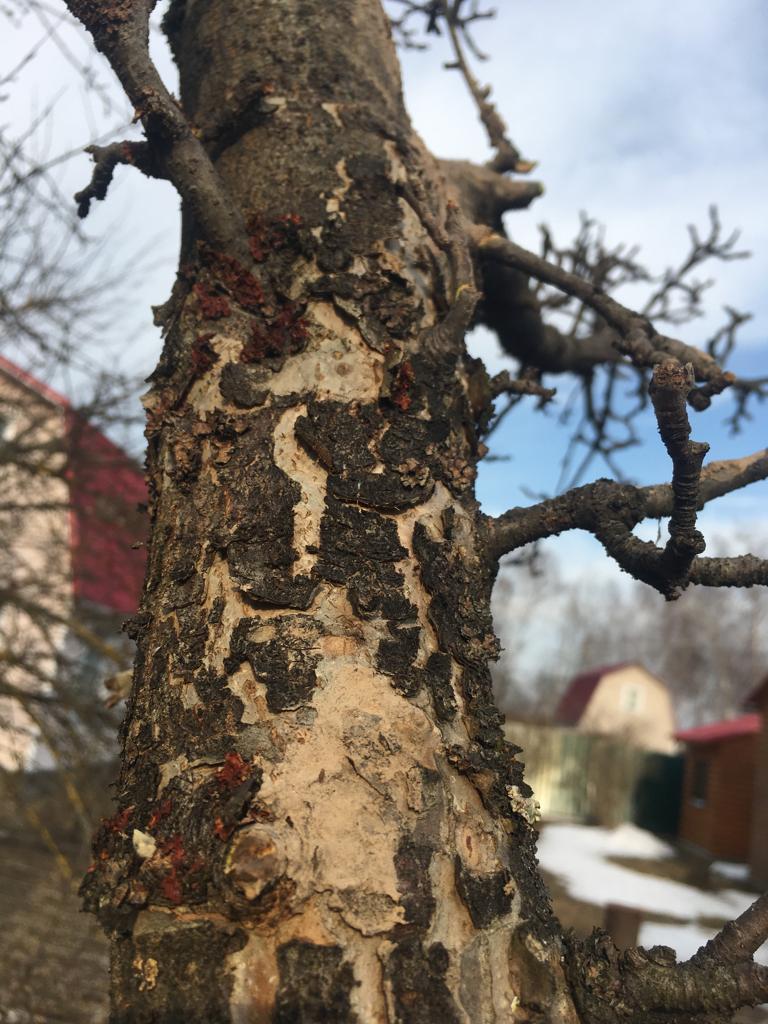 PHOTO 2018 11 27 00 27 58