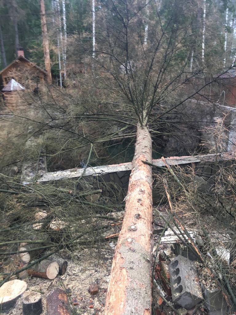 PHOTO 2018 11 27 00 48 17